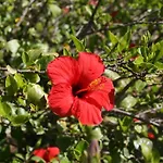 Punta Longa 4* Favignana