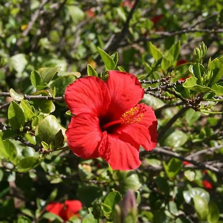 Punta Longa 4* Favignana