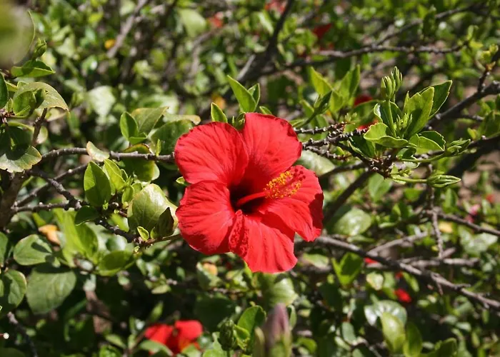 Punta Longa 4* Favignana